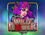 Wild Flower